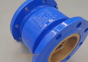 Ductile Iron Silent Check Valve factory