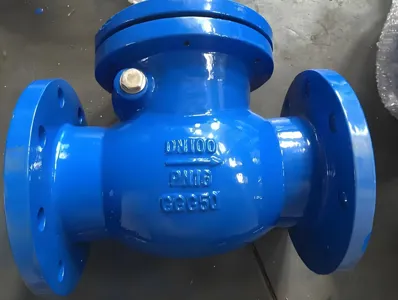 Injap Semak Ayunan Besi Mulur PN10